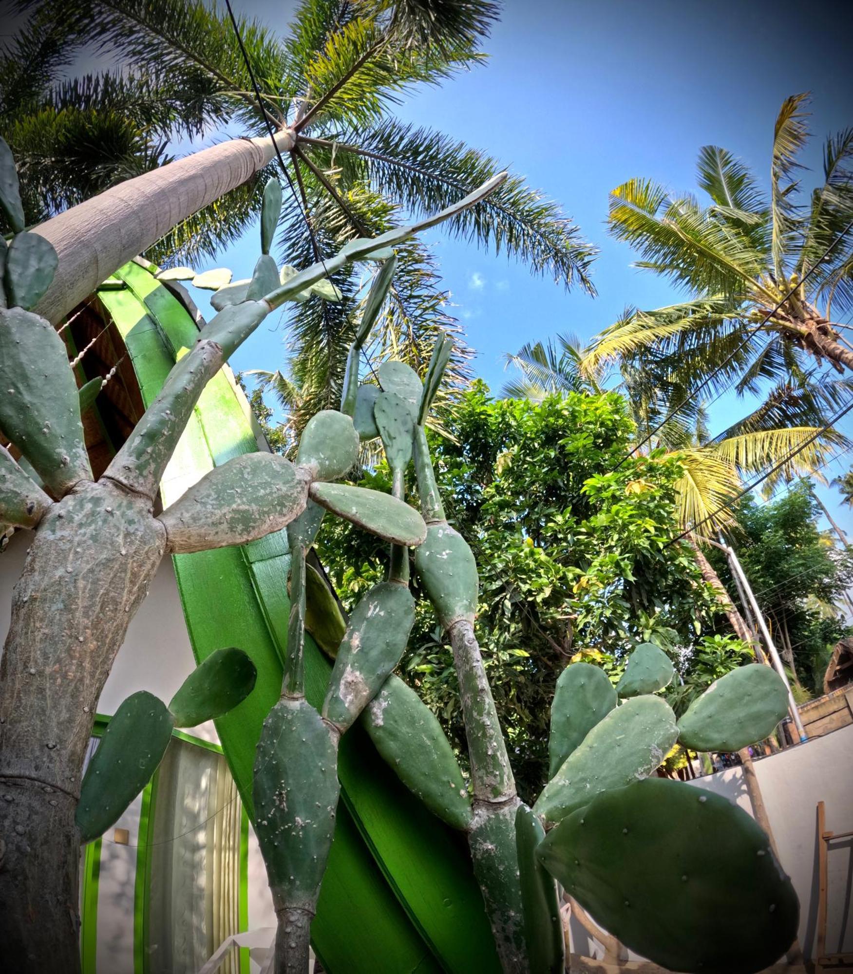 Kaktus Bungalow 4 Gili Air Kültér fotó
